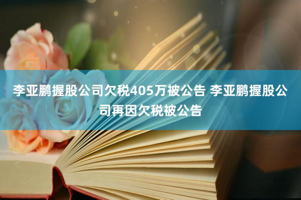 李亚鹏握股公司欠税405万被公告 李亚鹏握股公司再因欠税被公告