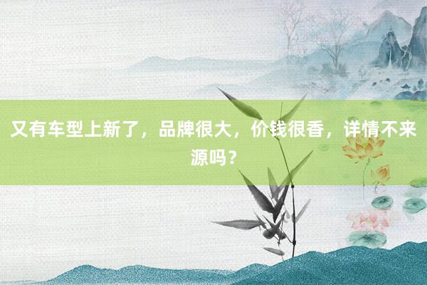 又有车型上新了，品牌很大，价钱很香，详情不来源吗？