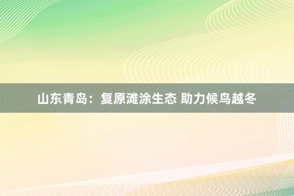 山东青岛：复原滩涂生态 助力候鸟越冬