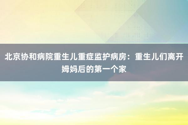 北京协和病院重生儿重症监护病房：重生儿们离开姆妈后的第一个家