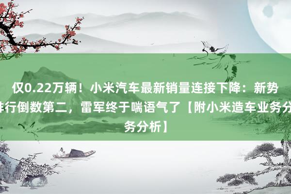 仅0.22万辆！小米汽车最新销量连接下降：新势力排行倒数第二，雷军终于喘语气了【附小米造车业务分析】