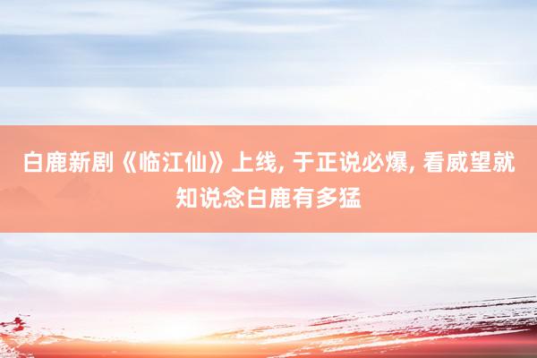 白鹿新剧《临江仙》上线, 于正说必爆, 看威望就知说念白鹿有多猛