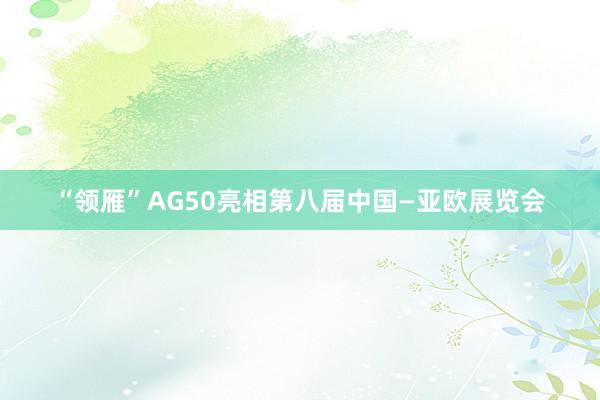 “领雁”AG50亮相第八届中国—亚欧展览会