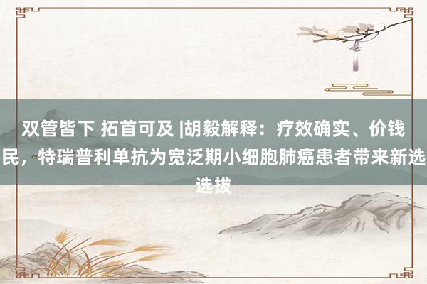 双管皆下 拓首可及 |胡毅解释：疗效确实、价钱亲民，特瑞普利单抗为宽泛期小细胞肺癌患者带来新选拔