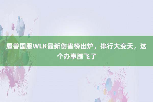 魔兽国服WLK最新伤害榜出炉，排行大变天，这个办事腾飞了