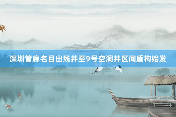 深圳管廊名目出线井至9号空洞井区间盾构始发