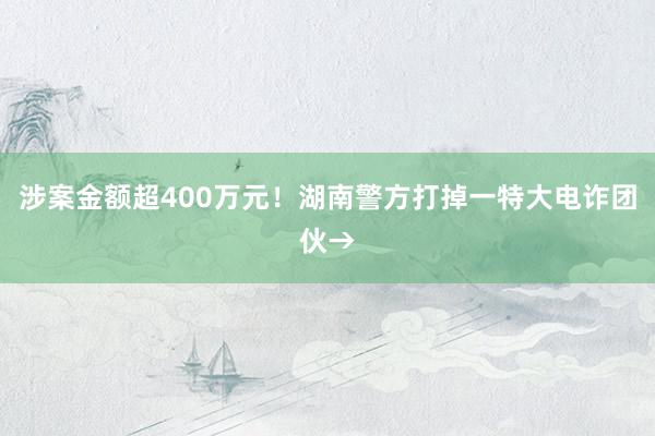 涉案金额超400万元！湖南警方打掉一特大电诈团伙→