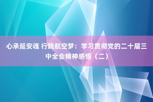 心承延安魂 行践航空梦：学习贯彻党的二十届三中全会精神感悟（二）