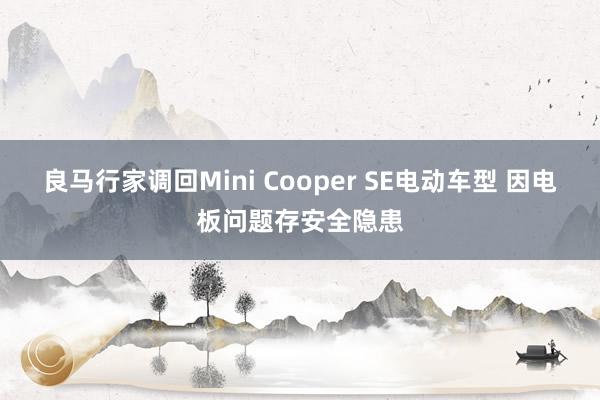 良马行家调回Mini Cooper SE电动车型 因电板问题存安全隐患