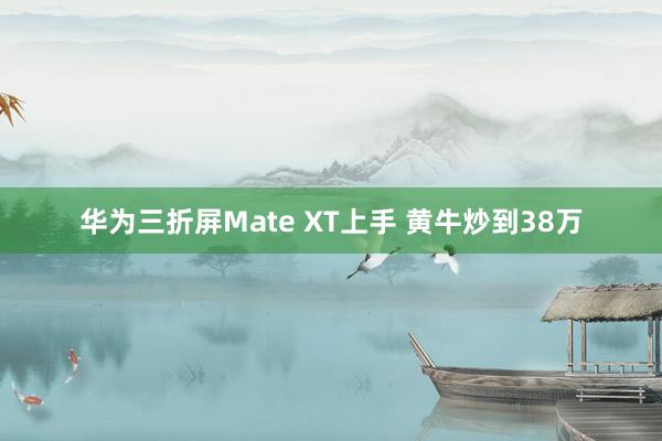 华为三折屏Mate XT上手 黄牛炒到38万