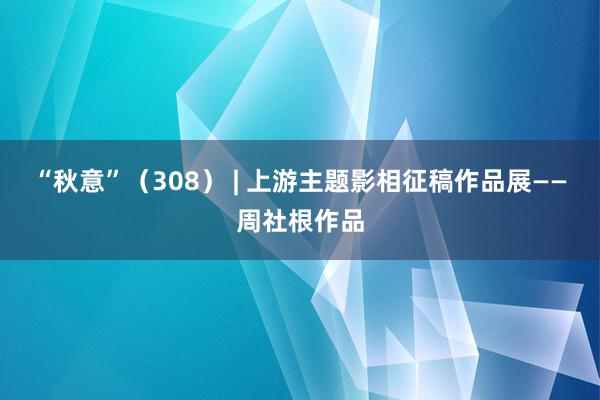 “秋意”（308） | 上游主题影相征稿作品展——周社根作品