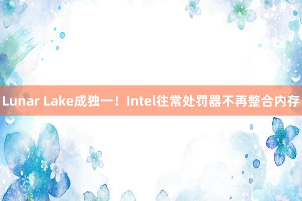 Lunar Lake成独一！Intel往常处罚器不再整合内存