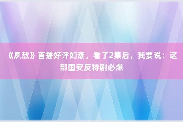 《夙敌》首播好评如潮，看了2集后，我要说：这部国安反特剧必爆